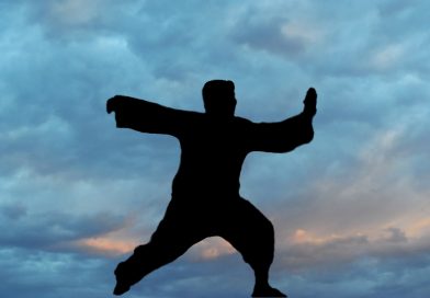 What is the Martial Arts Lifestyle?
